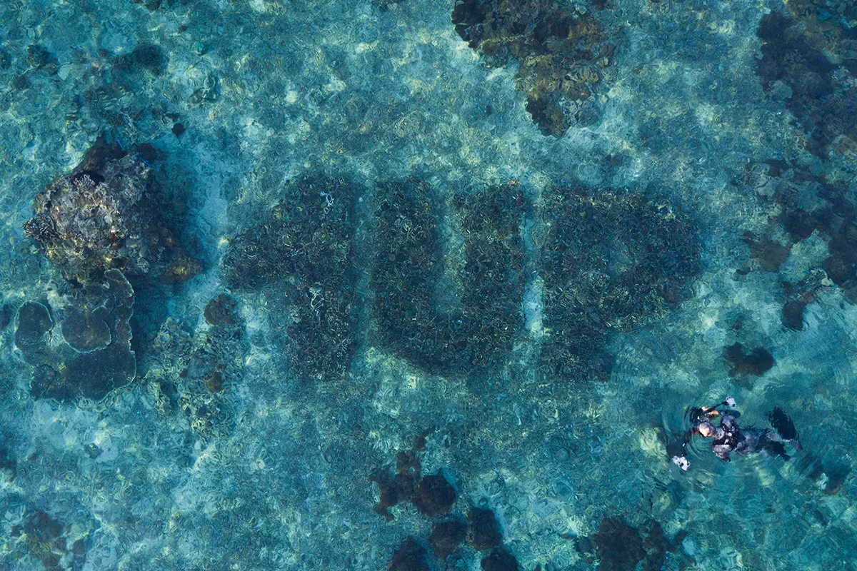 Photo of corals planted by the 1UP graffiti crew writing their name under water